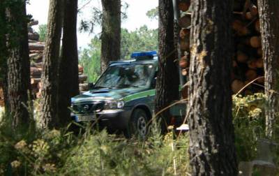 guarda florestal