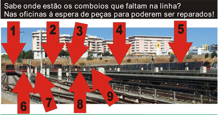 utentes web 1