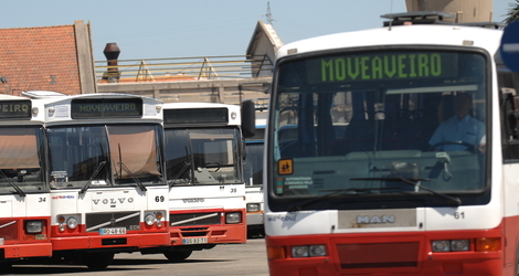 moveaveiro