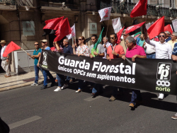 florestal guarda