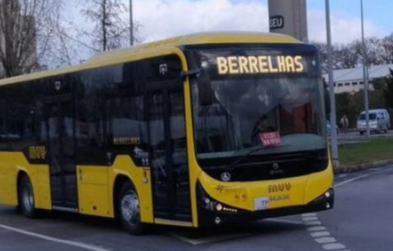 Berrelhas