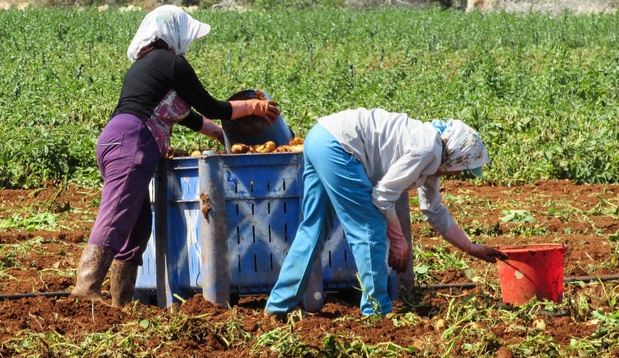 migrantes agricultura 640 px