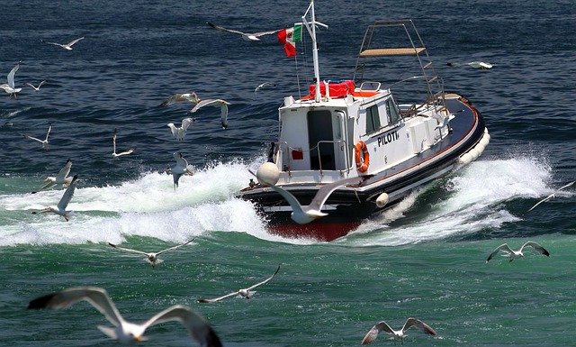 pilot boat 4815502 640